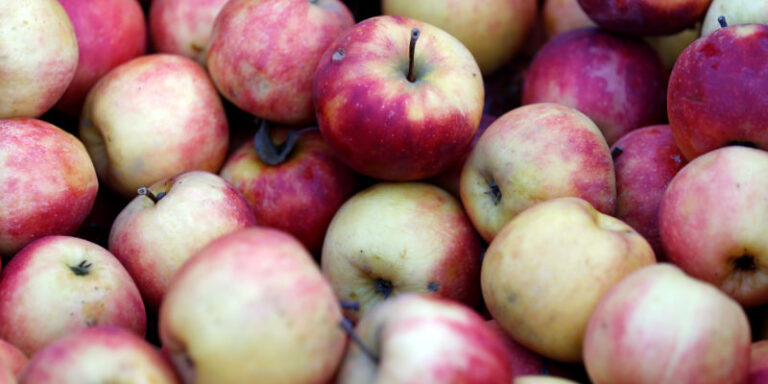 Poland to fight for Indian apple market