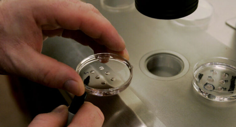 IVF mother gives birth to another woman’s child in mix-up