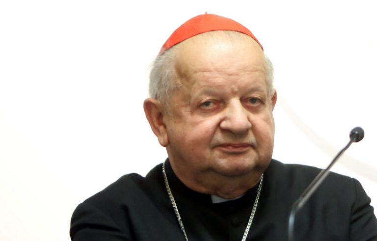Polish cardinal briefs pope on World Youth Day