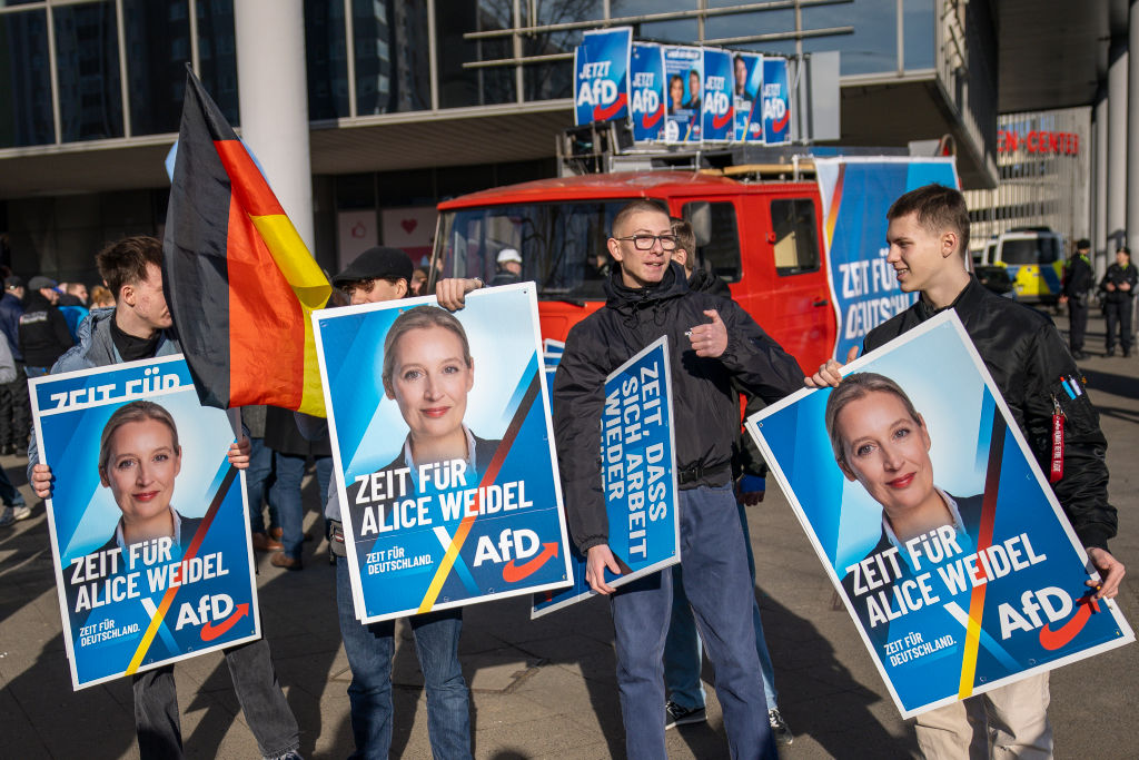AfD partią ekstremistyczną