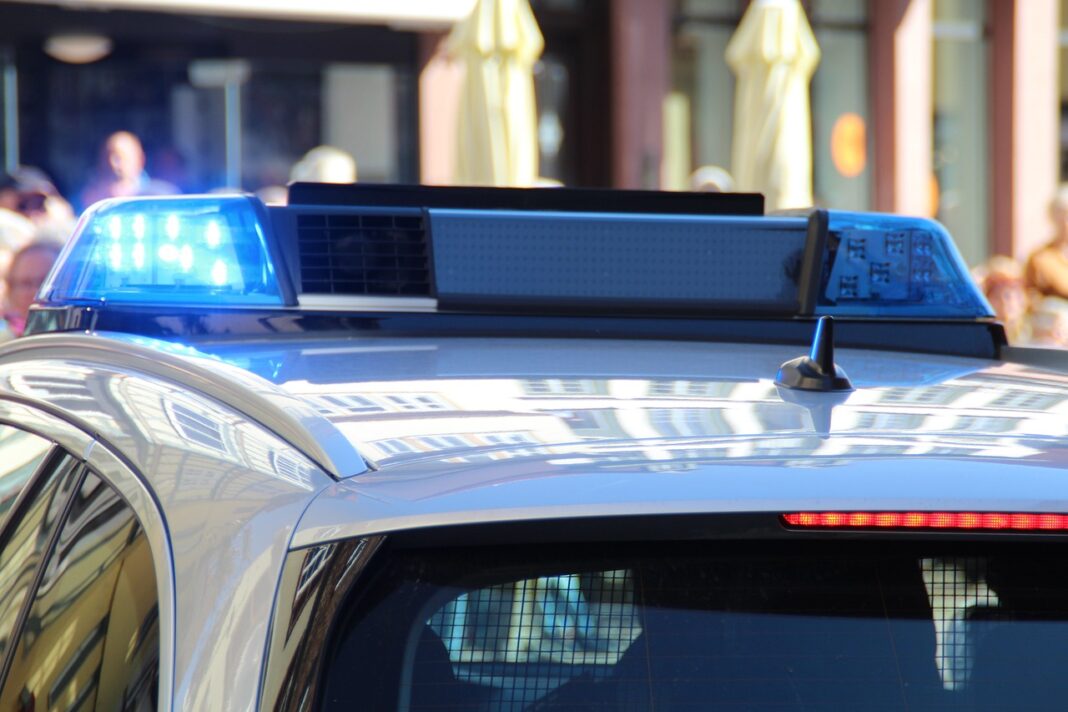 Egle Zilinskaite ukrywała zwłoki dwójki dzieci w swoim domu fot. Pixabay