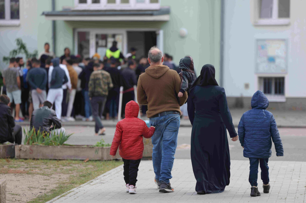 praca dla migrantów