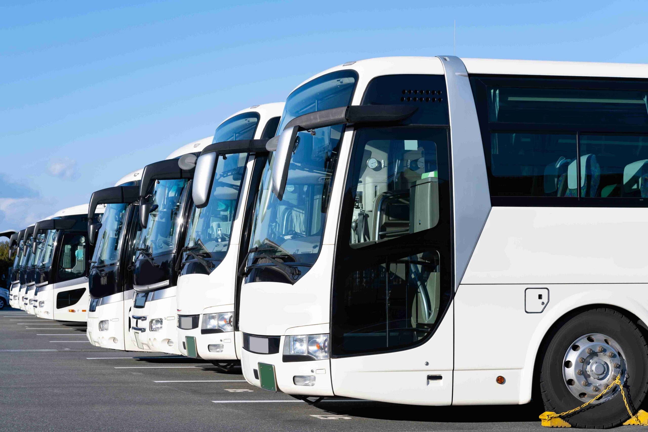kierowcy autobusów
