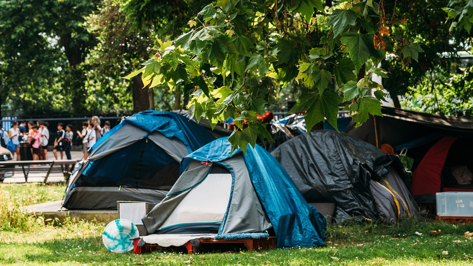 Deportacje z Holandii: coraz więcej bezdomnych Polaków jest wyrzucanych z kraju fot. Shutterstock