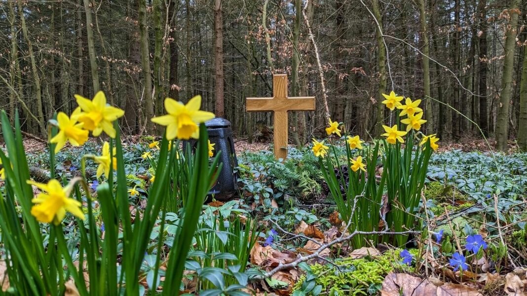 Ekologiczne trumny stają się coraz bardziej popularne