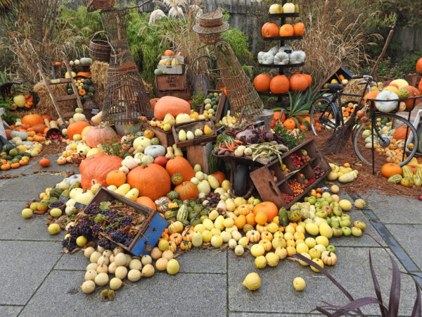 Samhain i  trick-or-treating i Celtycki Nowy Rok, czyli Święto Zmarłych po Irlandzku
