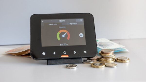 Wiele gospodarstw domowych oszczędza na ogrzewaniu, bo nie stać ich na opłacenie rachunków.