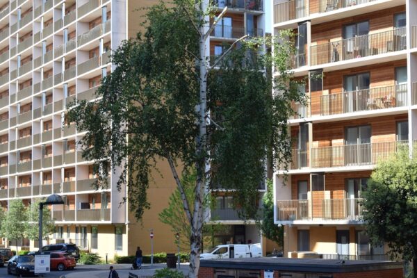 Ceny nieruchomości wzrosną znacząco w 2026. Oto 5 powodów!