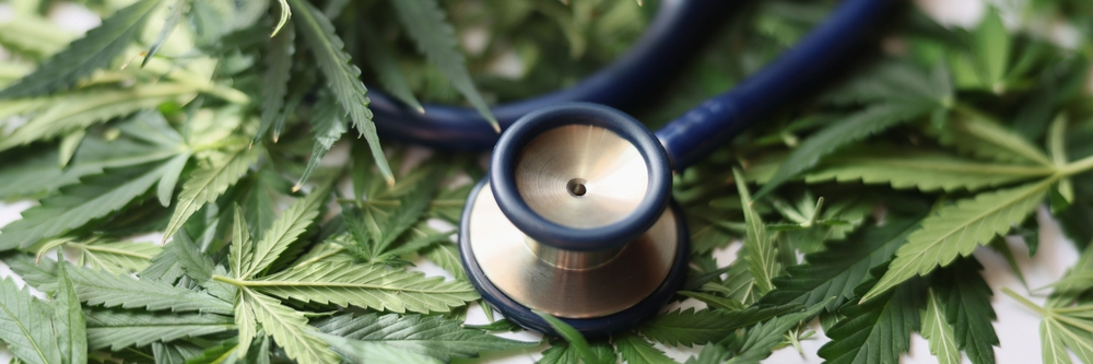 Medyczna marihuana napędza rozwój regionu. Nowe miejsca pracy w Szkocji