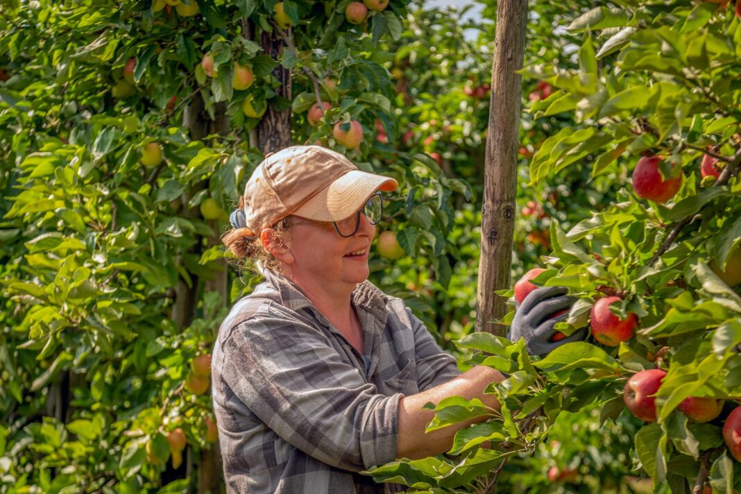 Odszkodowania dla pracowników w Holandii