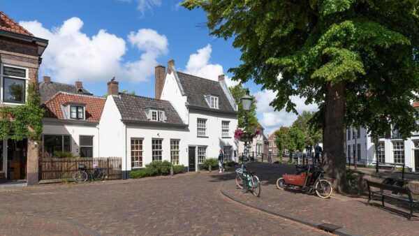 Oszuści korzystają na dużej konkurencji na rynku wynajmu