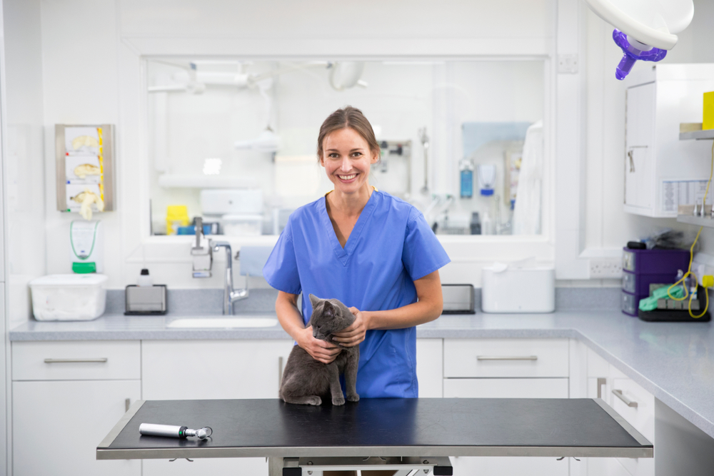 Dlaczego ceny u weterynarza rosną tak szybko?