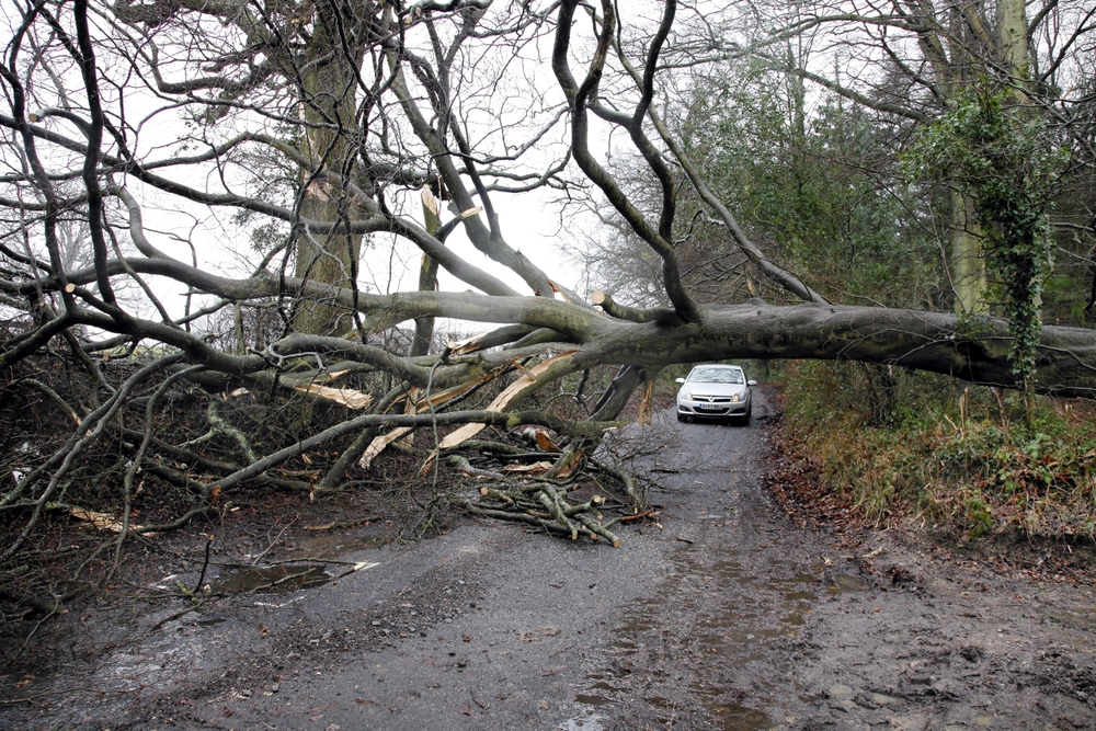 Prognoza pogody dla UK na najbliższy tydzień – Met Office ostrzega przed wiatrem i intensywnymi opadami