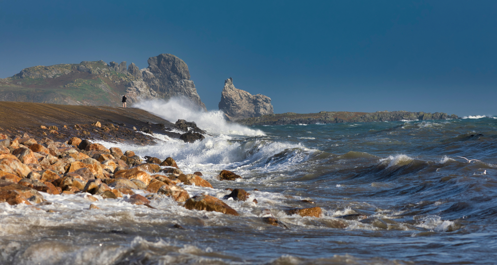 “Palce trupa” na plażach w Dublinie! Niepozorne z wyglądu zagrożenie życia