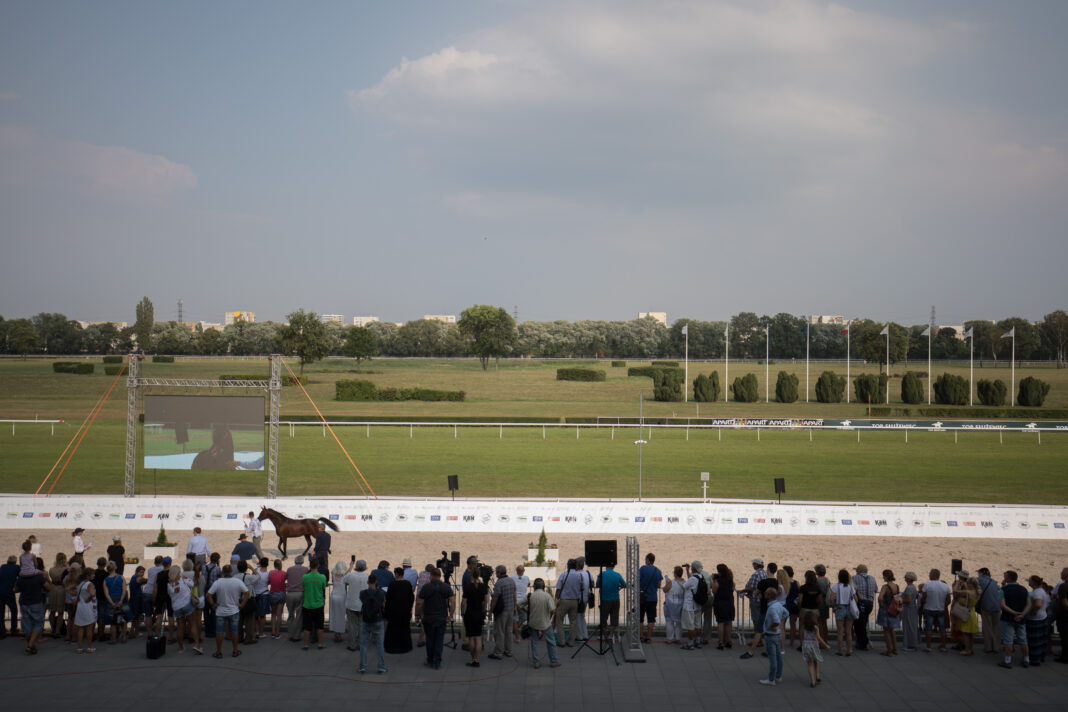 Służewiec vs Cheltenham