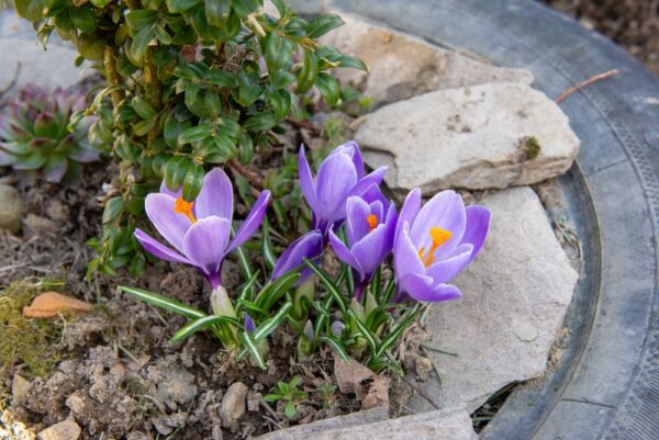 Czy czeka nas ciepły i słoneczny weekend?  Warto skorzystać z pięknej pogody!