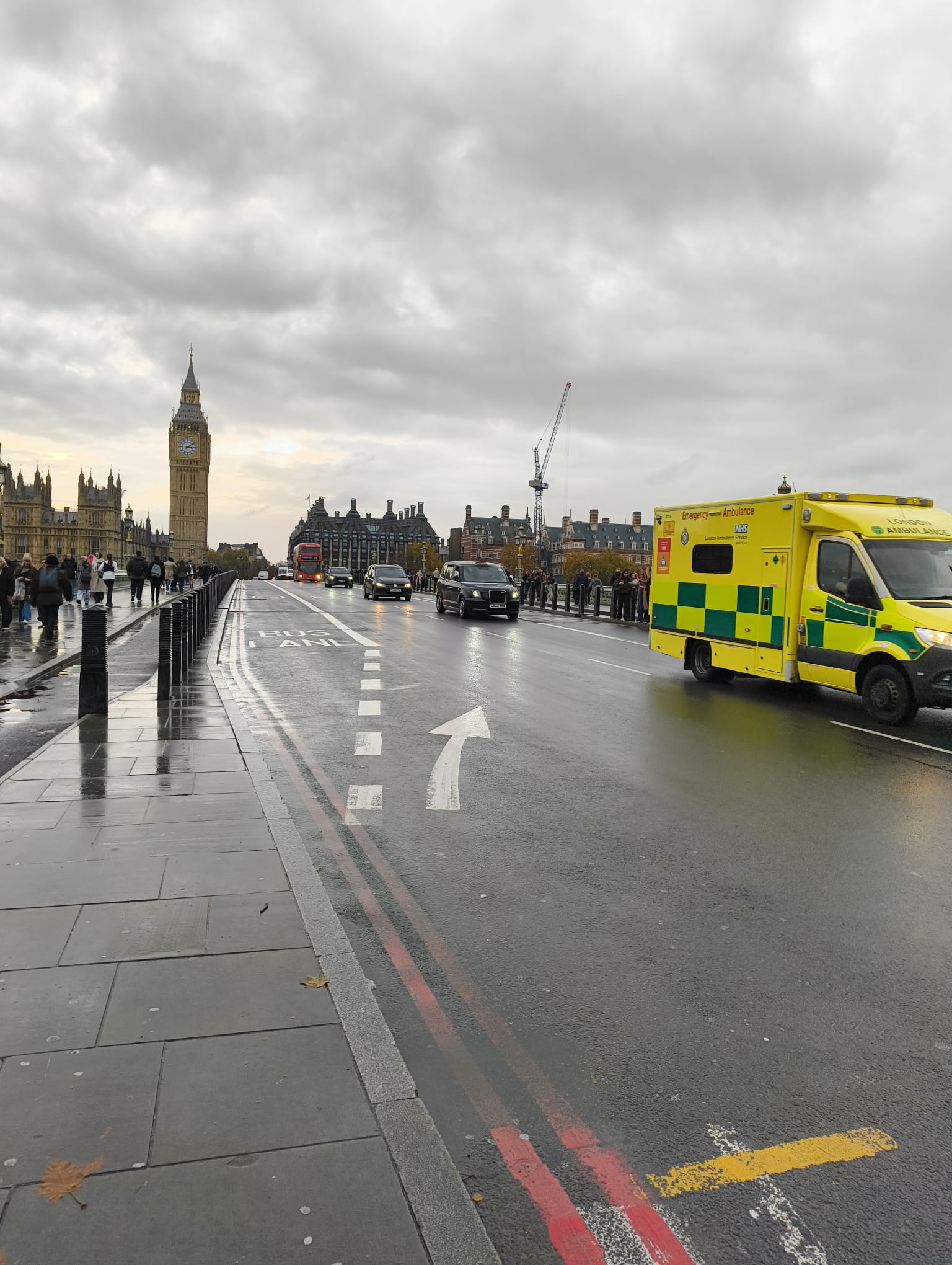 Podwójna czerwona linia oznacza absolutny zakaz parkowania zatrzymywania i rozładunku. foto Archiwum Polish Express