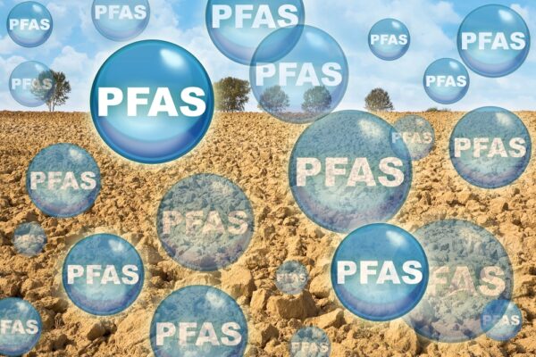 Toksyczne substancje wykryte we krwi mieszkańców Wielkiej Brytanii