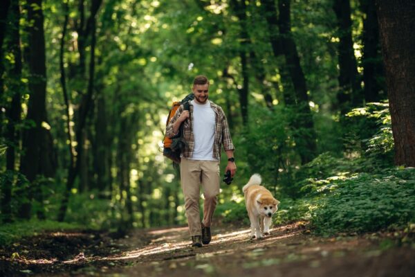 1000 funtów kary za smycz dłuższą niż 2 metry. Weszły sezonowe przepisy wyprowadzania psów