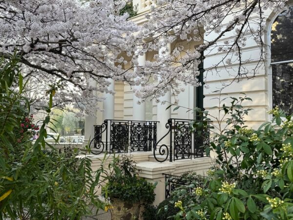 Wiosenne chłody wracają do Wielkiej Brytanii