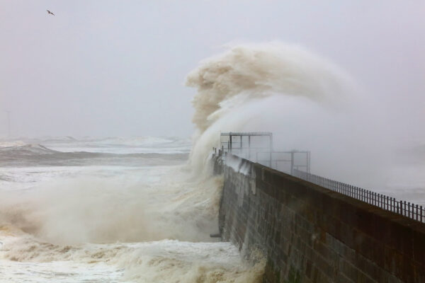 W niektórych rejonach przybrzeżnych siła wiatru dojdzie nawet do 112 km/h