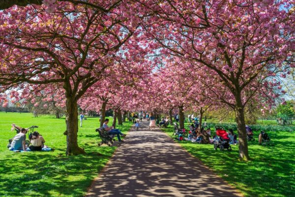 Mieszkańcy Wysp będą mogli cieszyć się piękną wiosną w ten weekend