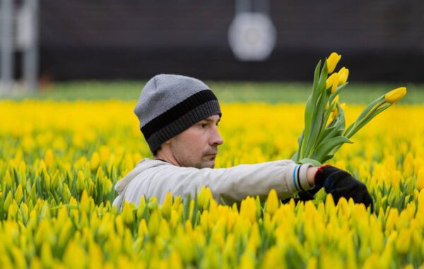 Agencje zatrudnienia często potrącają zawyżone koszty podróży i zakwaterowania imigrantom