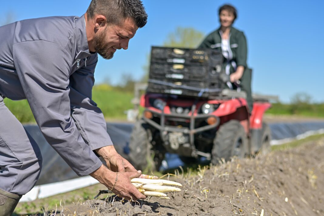 Co zniechęca Polaków do pracy za granicą? Pracodawcy zakazujący rejestracji, warunki, czy płace?