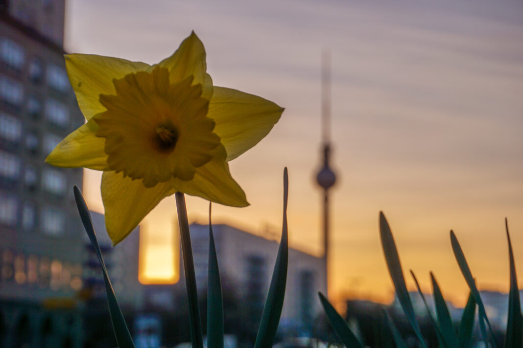 Wydarzenia w Wielkanoc w Berlinie: duchowość, tradycje i rodzinne atrakcje