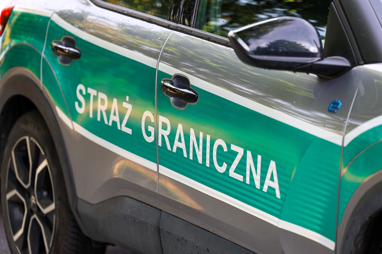 kontrole na granicach