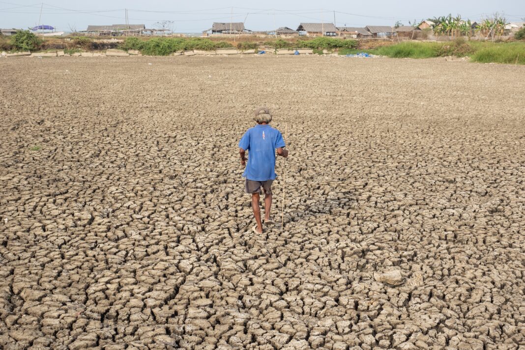 El Nino 2026. Super El Nino, Godzilla El Nino - naukowcy ostrzegają, przed być może największym do tej pory zjawiskiem pogodowym. Foto: shutterstock.com