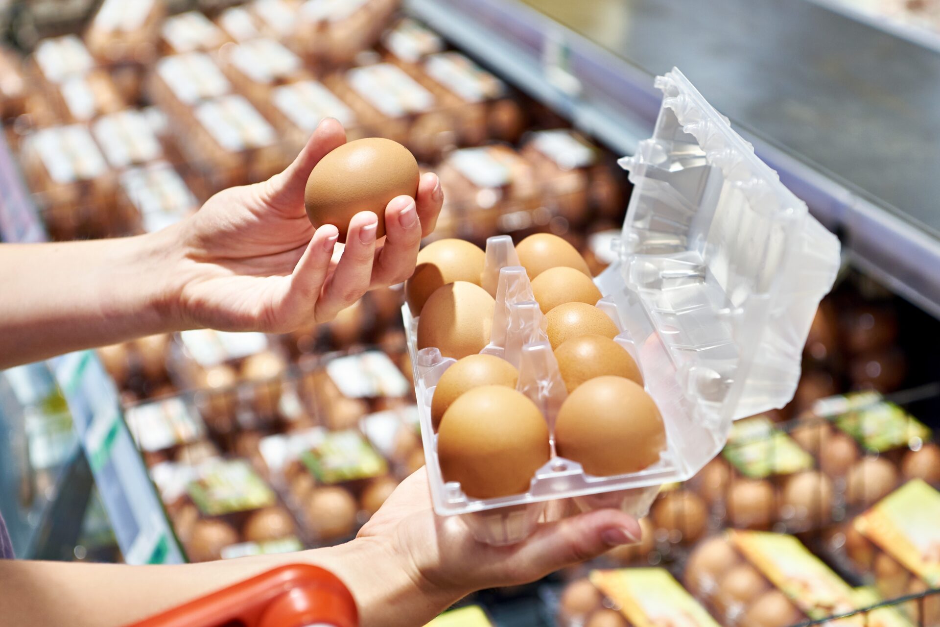 Jajka to nie jedyne źródło zakażenia salmonellą. Salmonella może występować też w mięsie i warzywach. Foto: Shutterstock